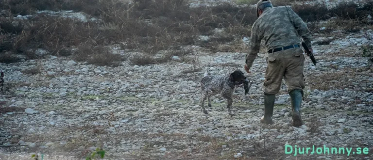 Hur använder man en hundvisselpipa