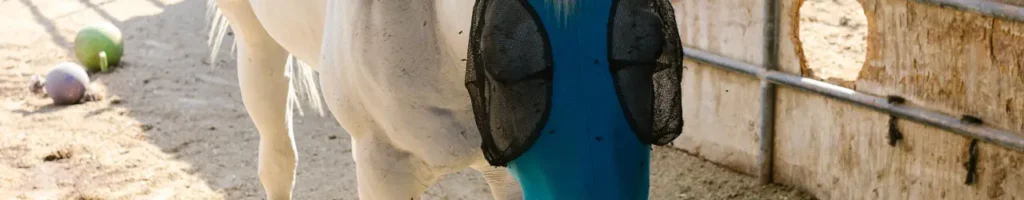 Flughuva test