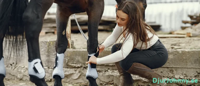 Hästboots bäst i test