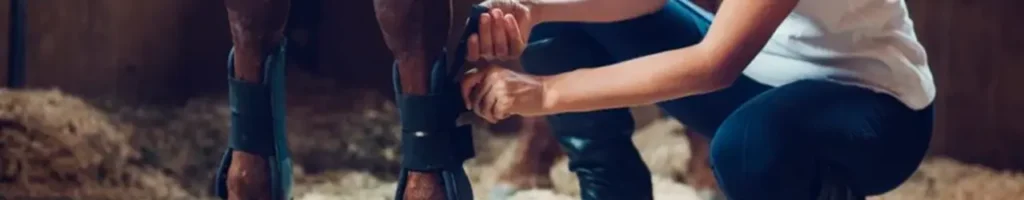 Hästboots test