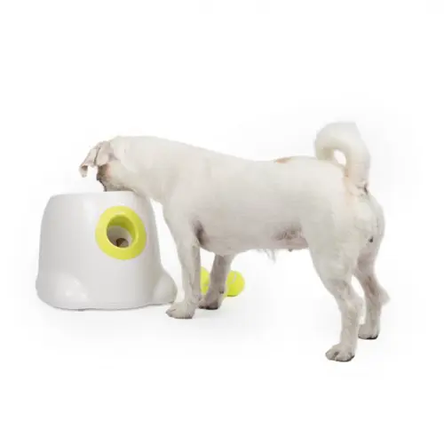 All for paws bollkastare mini