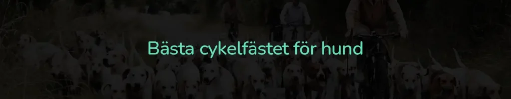 Bästa cykelfästet för hund