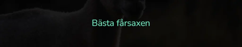 Bästa fårsaxen