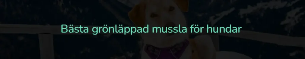 Bästa grönläppad mussla för hundar