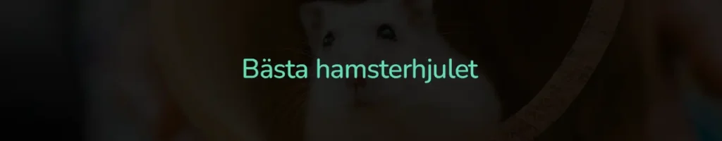 Bästa hamsterhjulet