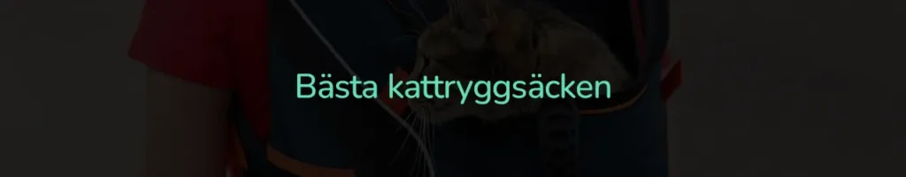 Bästa kattryggsäcken