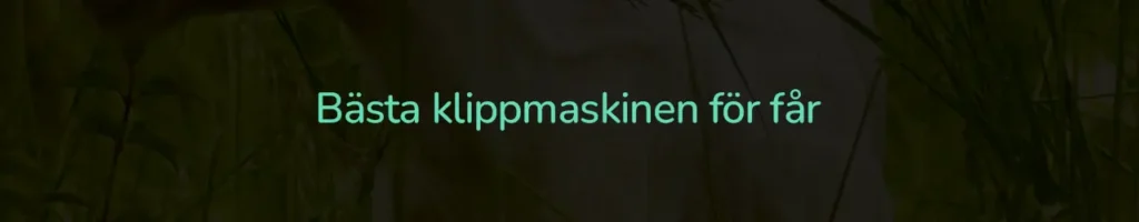Bästa klippmaskinen för får