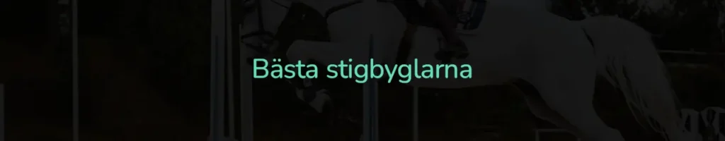 Bästa stigbyglarna