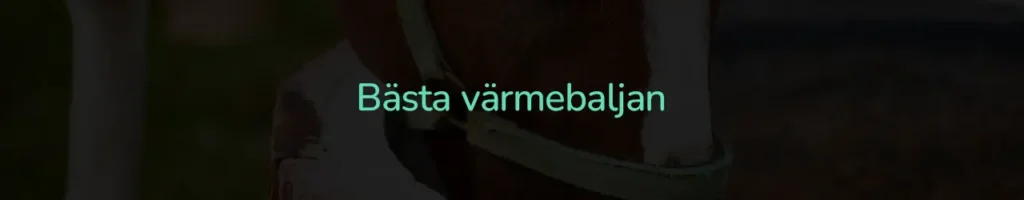 Bästa värmebaljan