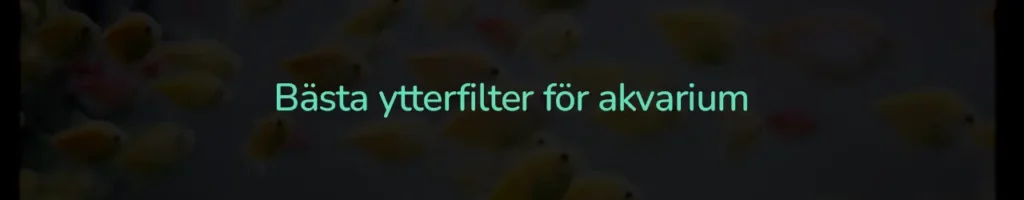 Bästa ytterfilter för akvarium