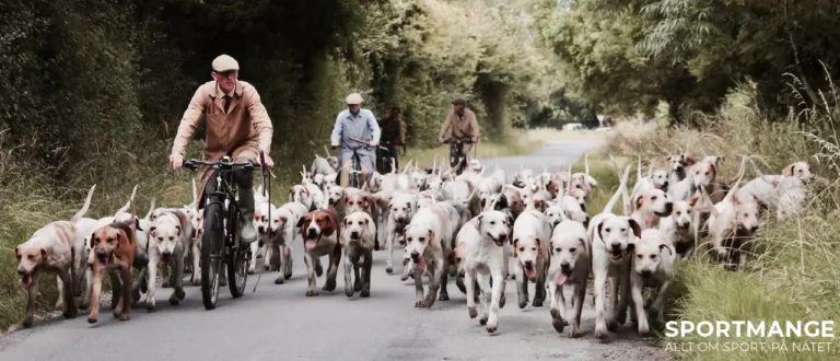 Cykelfäste hund bäst i test