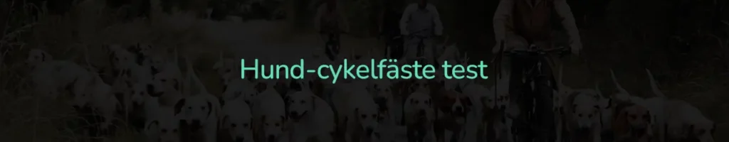 Hund-cykelfäste test