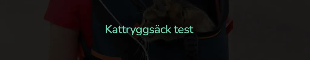 Kattryggsäck test