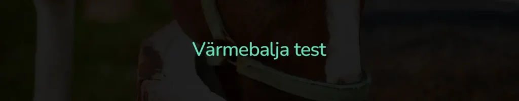 Värmebalja test