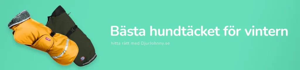 Bästa hundtäcket för vintern