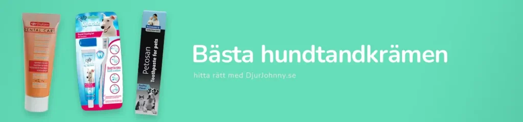 Bästa hundtandkrämen