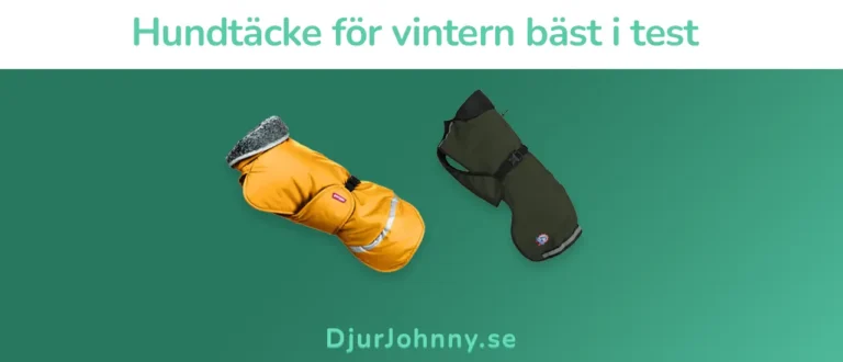Hundtäcke för vintern bäst i test