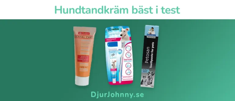 Hundtandkräm bäst i test