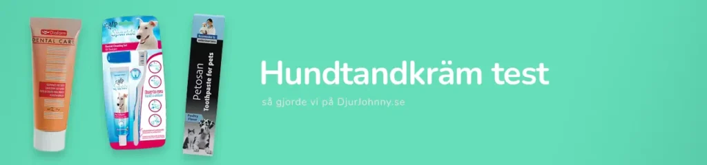 Hundtandkräm test