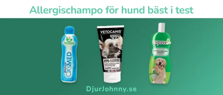 Allergischampo för hund bäst i test