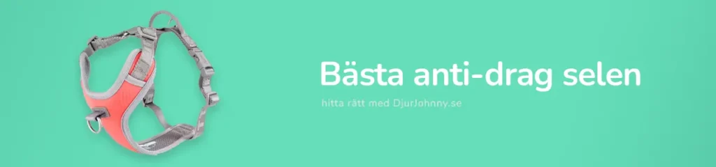 Bästa anti-drag selen