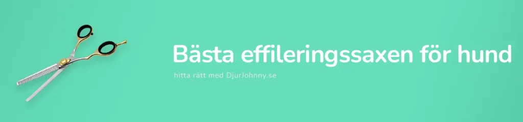 Bästa effileringssaxen för hund