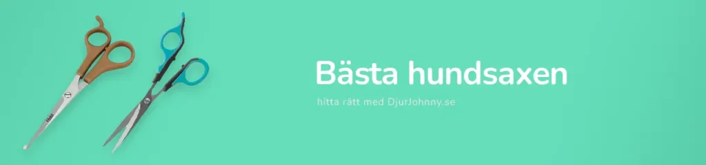 Bästa hundsaxen
