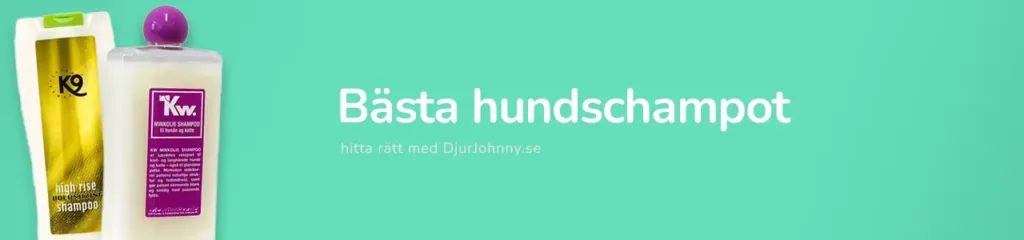Bästa hundschampot