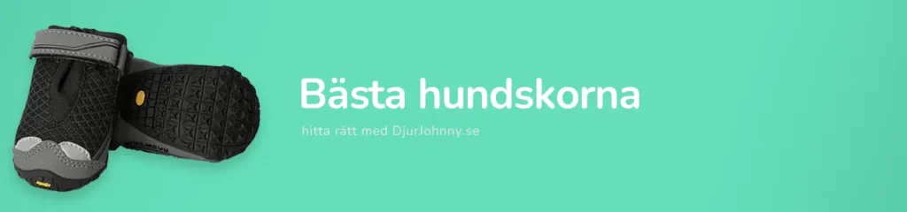 Bästa hundskorna