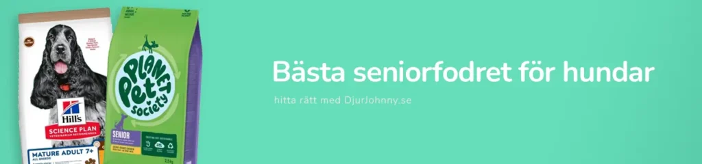Bästa seniorfodret för hundar