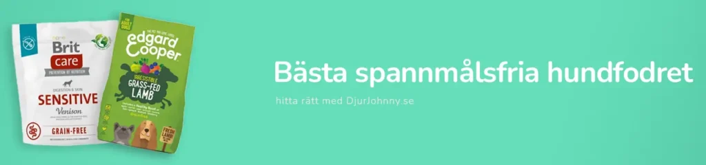 Bästa spannmålsfria hundfodret