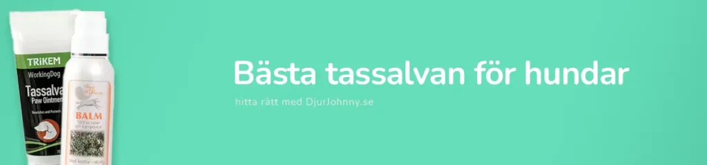 Bästa tassalvan för hundar
