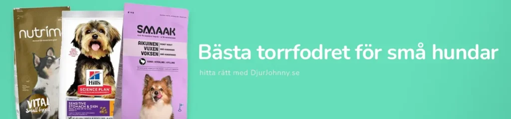 Bästa torrfodret för små hundar