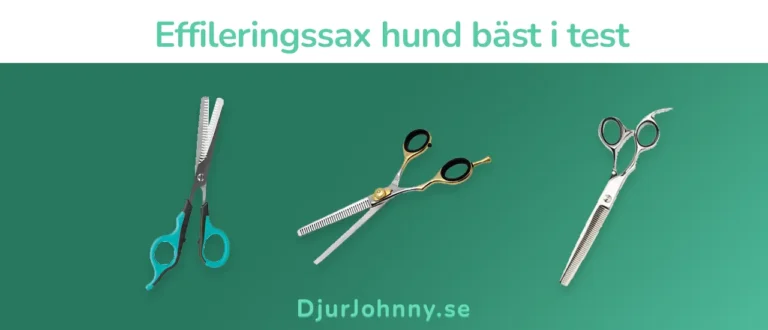 Effileringssax hund bäst i test