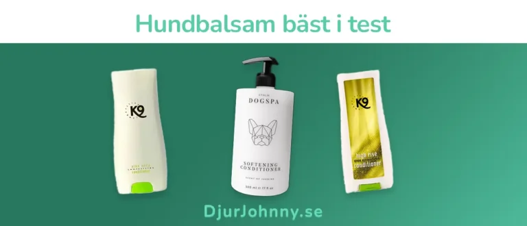 Hundbalsam bäst i test