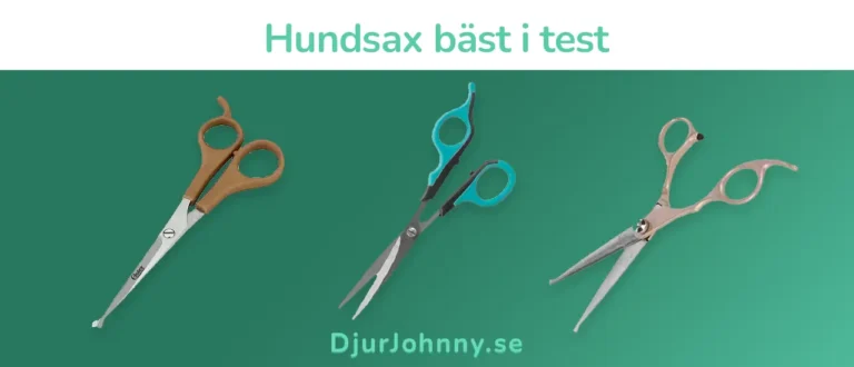 Hundsax bäst i test