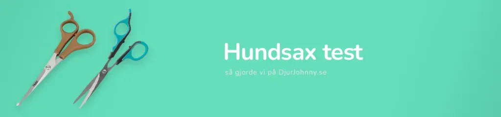 Hundsax test
