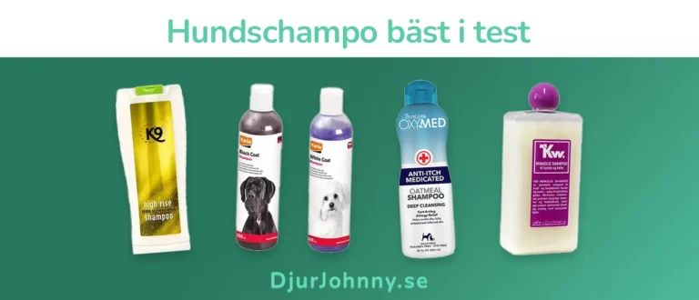 Hundschampo bäst i test