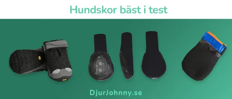 Hundskor bäst i test