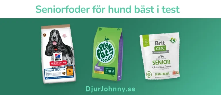 Seniorfoder för hund bäst i test