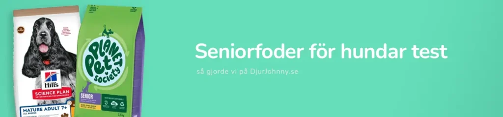 Seniorfoder för hundar test