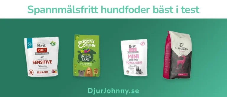 Spannmålsfritt hundfoder bäst i test
