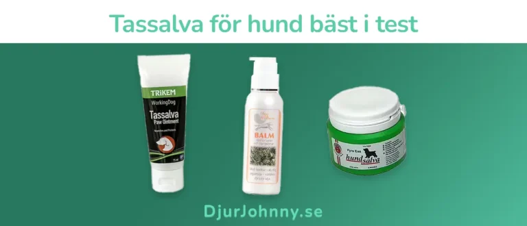 Tassalva för hund bäst i test