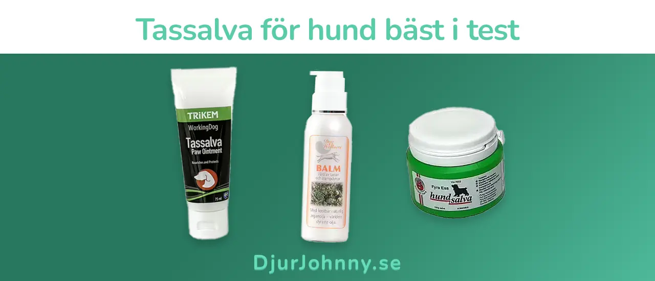 Tassalva för hund bäst i test
