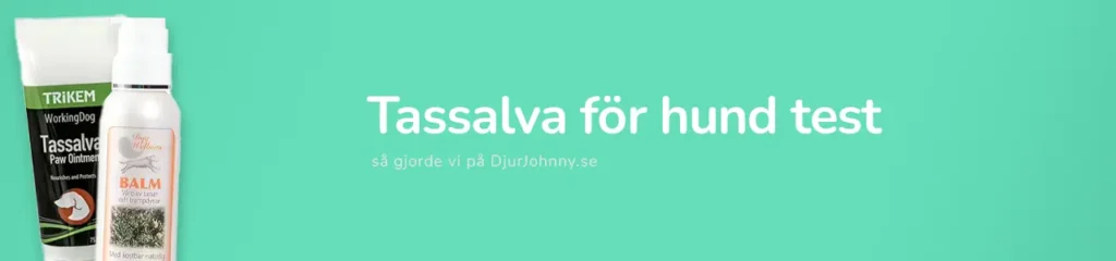 Tassalva för hund test