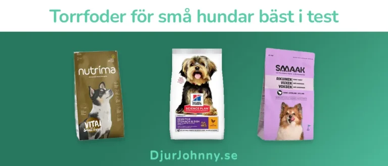 Torrfoder för små hundar bäst i test
