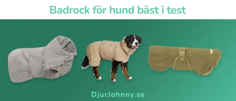Badrock för hund bäst i test