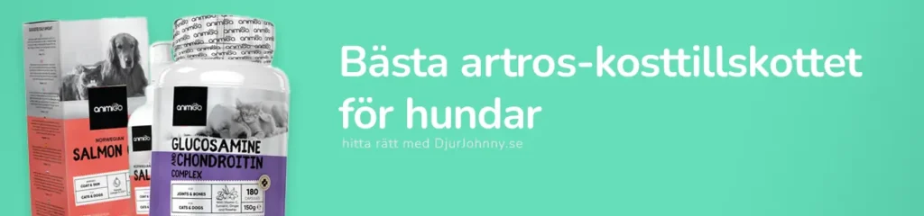 Bästa artros-kosttillskottet för hundar