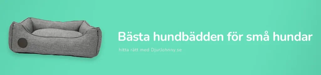 Bästa hundbädden för små hundar