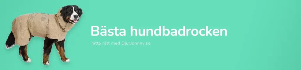 Bästa hundbadrocken